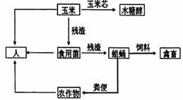 食物鏈加環技術在生態工程中的應用與效益分析